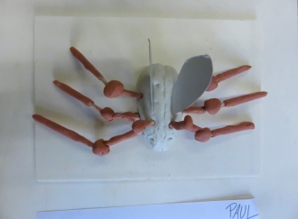 Abbildung 1 Schräger Roboter RoboFIT Lise Meitner Gymnasium