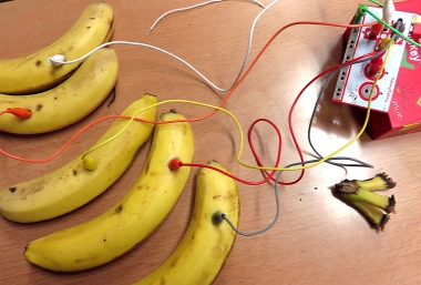 Foto von 5 Bananen, die mit Kabeln an einen Stromkreis angeschlossen sind, Workshop Makey-Makey